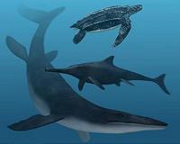 Climate change wiped out prehistoric 'sea dragon': study