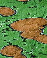 Vision And Recommendations For Microbiology In The 21st Century