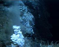 Probing The Sea Floor To Gain Understanding Of Early Life On Earth