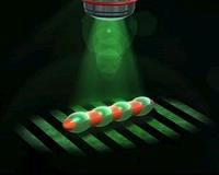 Microrobots learn from ciliates