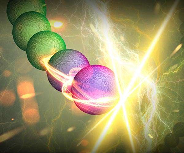 Nanotubes illuminate the way to living photovoltaics