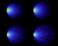 The path length of light in opaque media