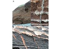 Mineral Veins on Mars Were Formed by Evaporating Ancient Lakes
