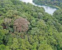 Electrical activity in living organisms mirrors electrical fields in atmosphere