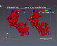 Mapping nanoscale chemical reactions inside batteries in 3-D
