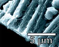 Graphene-nanotube hybrid boosts lithium metal batteries