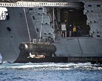 US navy agrees to limit sonar, explosives near marine mammals