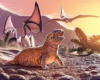 Ancient monitor lizard had four eyes