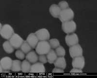Lockheed Martin is reprogramming cells to bioproduce new materials