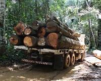 How Brazilian cattle ranching policies can reduce deforestation