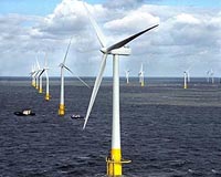 Offshore wind turbine construction could be putting seals' hearing at risk