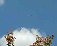 China successfully tests accurate landing of rocket debris