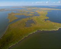 Nanomaterials could mean more algae outbreaks for wetlands, waterways