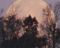Solstice Moon Illusion