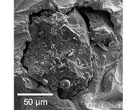 Violent meteorite impacts forged parts of the lunar crust