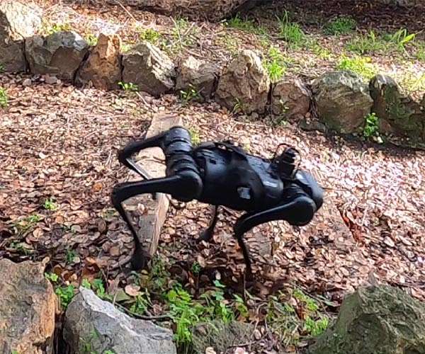AI Improves Robotic Performance in DARPA's Machine Common Sense Program