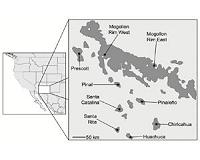 Environment, not distance, triggers genetic differences in 'sky island' birds