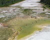 Scientists find way to make mineral which can remove CO2 from atmosphere