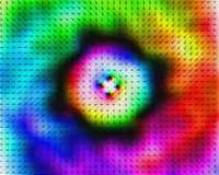 Magnetic skyrmions: Not the only ones of their class