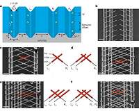 Finding the highly sought Majorana quasiparticle