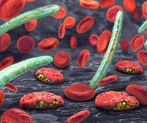 Climate change could upturn world malaria fight: WHO