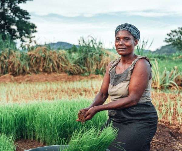 How do we make farming better for the planet? Ask women