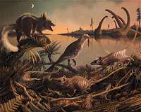 Turtles, birds help scientists estimate structure of dinosaur's genome