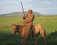 Mongolia herders face disaster: Red Cross