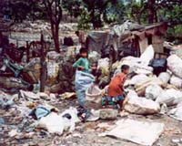 Manilas Garbage Dump Offers Lifeline For Poor