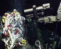 Fueling a deep-sea ecosystem