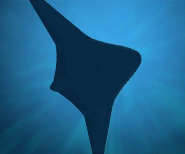 In-Water tests for DARPA Manta Ray scaled prototype