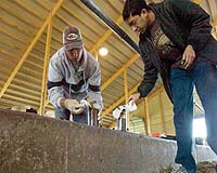 From Dairy Waste To Electric Power