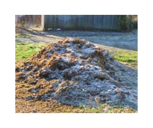Improve Crop Yield By Removing Manure Solids