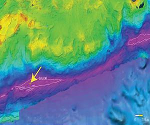 Highly effective communities of bacteria in the world's deepest oceanic trench