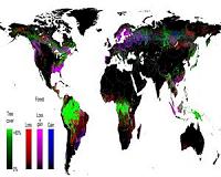 Global forests expanding: Reflects wellbeing, not rising CO2, experts say