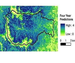 Lasers Help Researchers Predict Birds' Preferred Habitat
