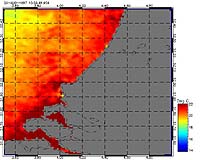 Satellites Help To Clean Up The Sea