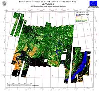 Russia To Tackle Growing Threat To Its Forests