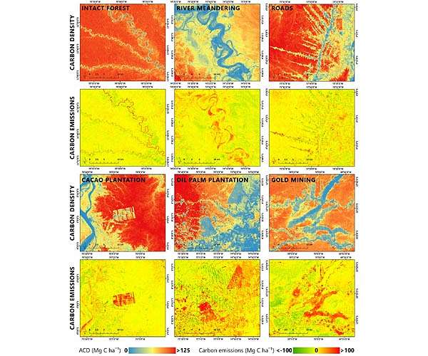 Chloris Geospatial secures funding to expand forest carbon monitoring technology