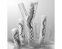 The secret to an Oesia life: Prehistoric worm built tube-like 'houses' on sea floor