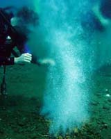Researchers Find Ways Heat Loving Microbes Release Energy