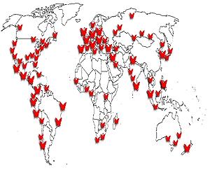 Spot a bot to stop a botnet