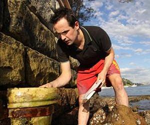 UCSB researcher shows microplastic transfers chemicals, impacting health