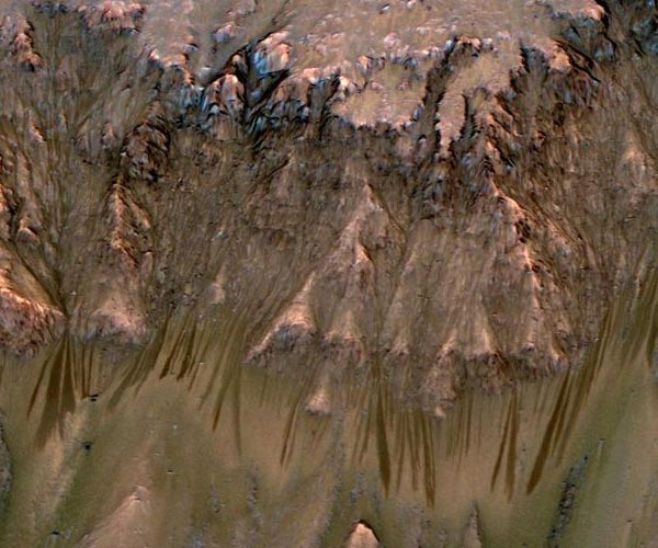 Ancient Martian brines left bromine rich fingerprints in jarosite minerals