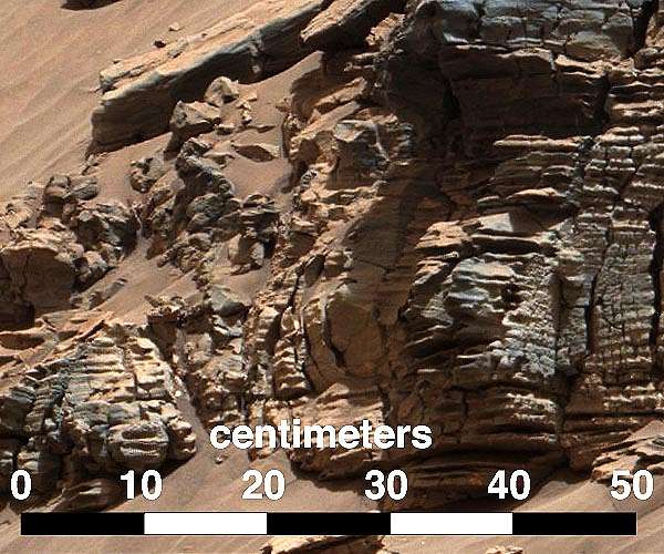 Tracing organic matter origins in Martian sediments