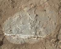 Tiny Crystal Shapes Get Close Look From Mars Rover