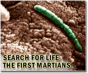 WSU air-quality researcher to lead field studies in support of NASA Mars mission