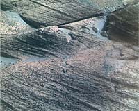 Mars Rovers Sharpen Questions About Livable Conditions