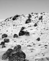 Martian Surface Probably Cannot Support Life