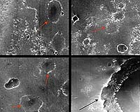 Warming Up To A Martian Carcass